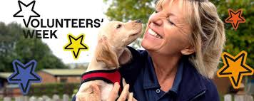 rspca volunteer work