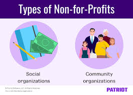 not-for-profit organization