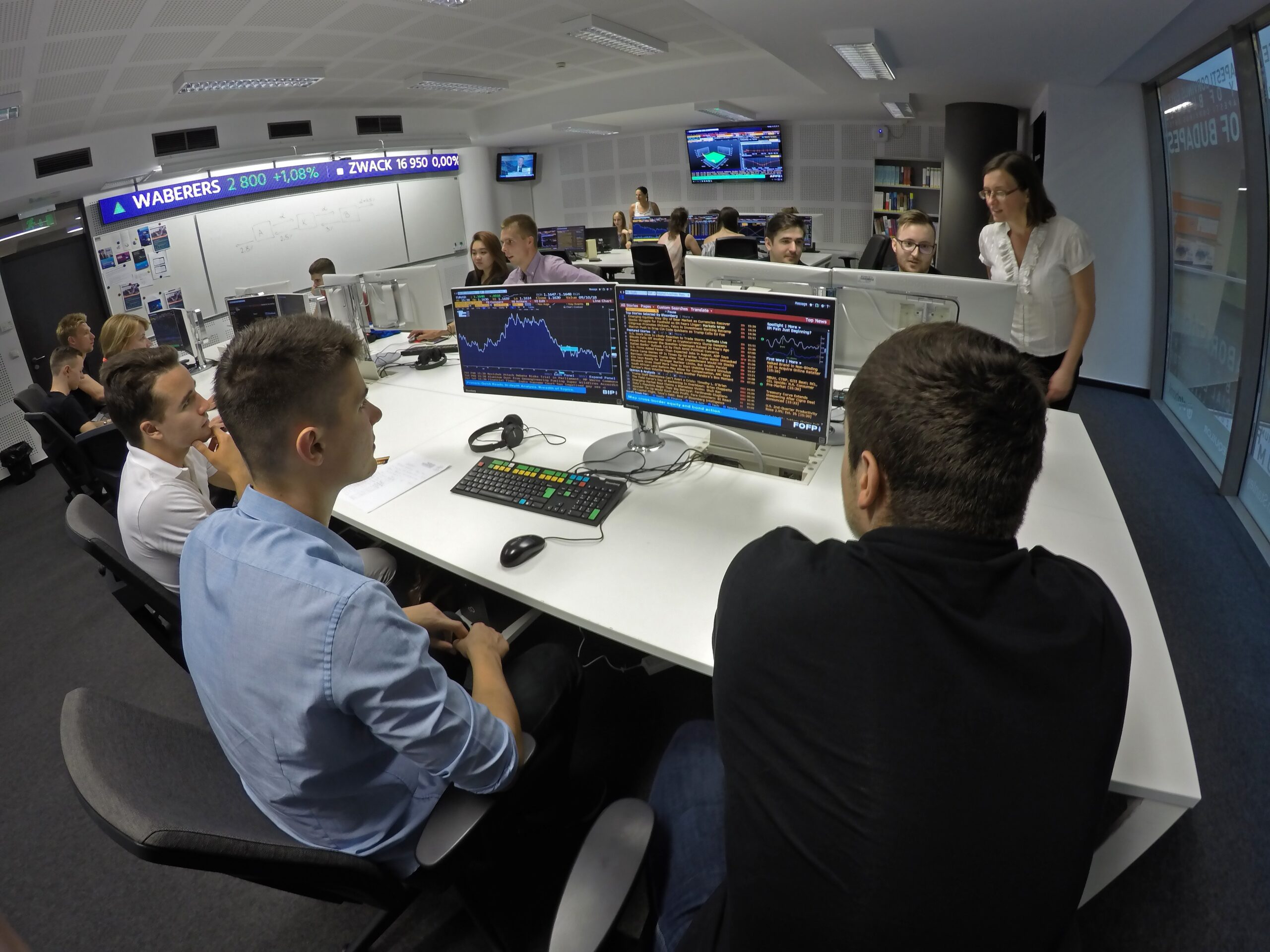 bloomberg for education