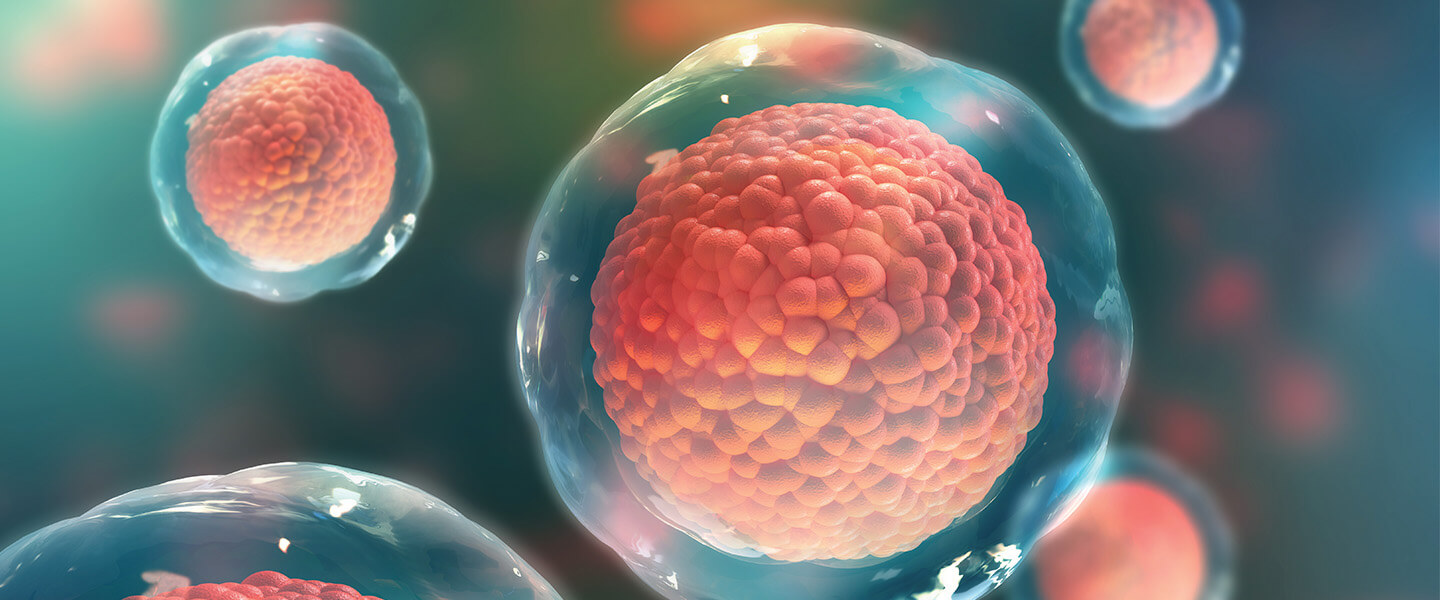 stem cell technology