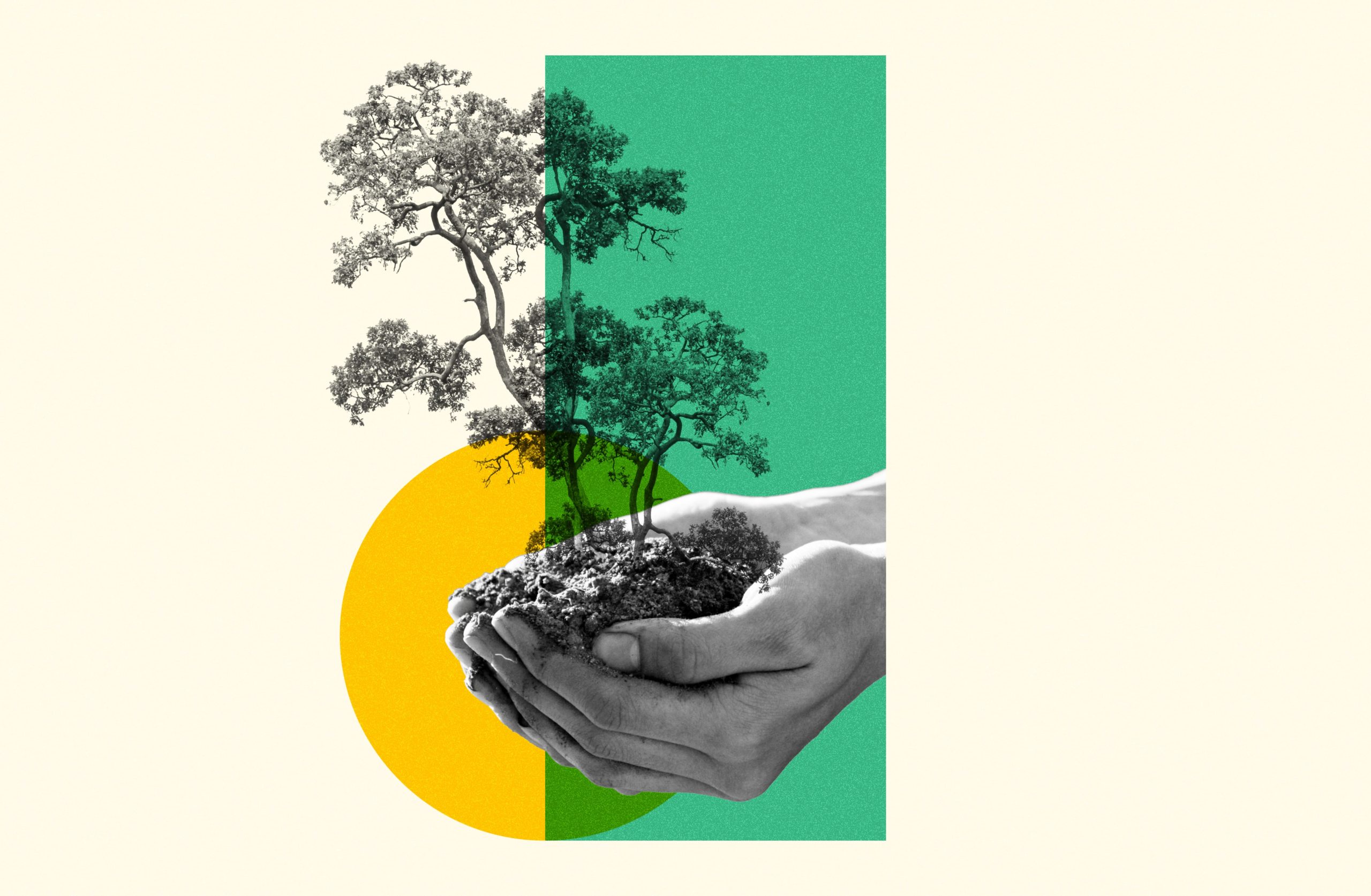 environmental impacts