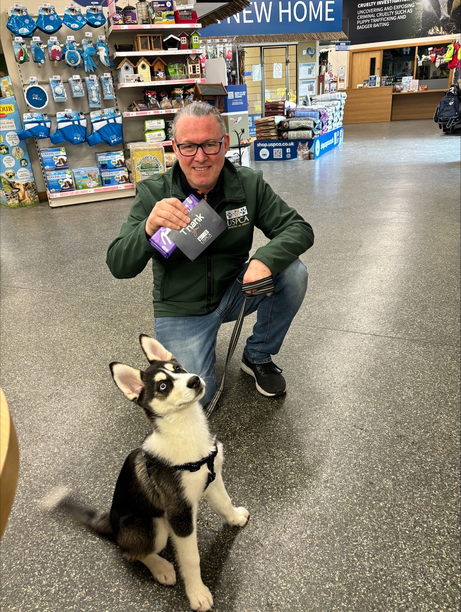 volunteering near me animals