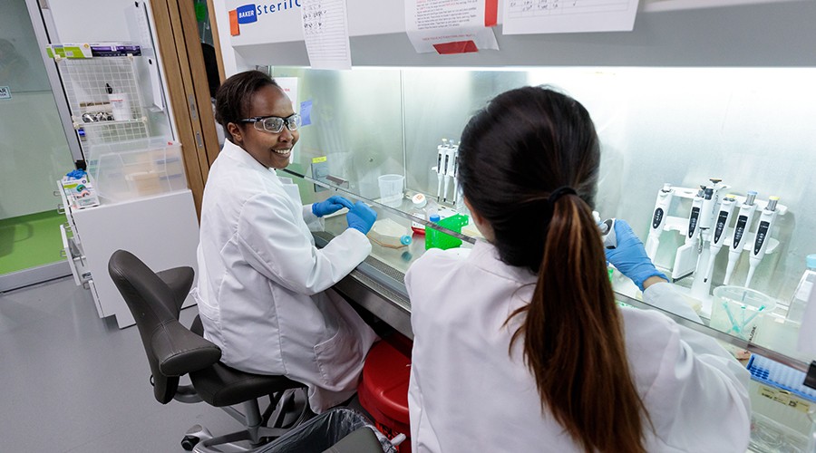 postdoctoral researcher