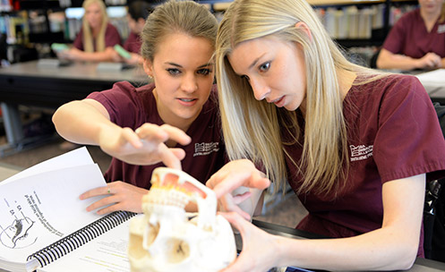 dental hygienist school