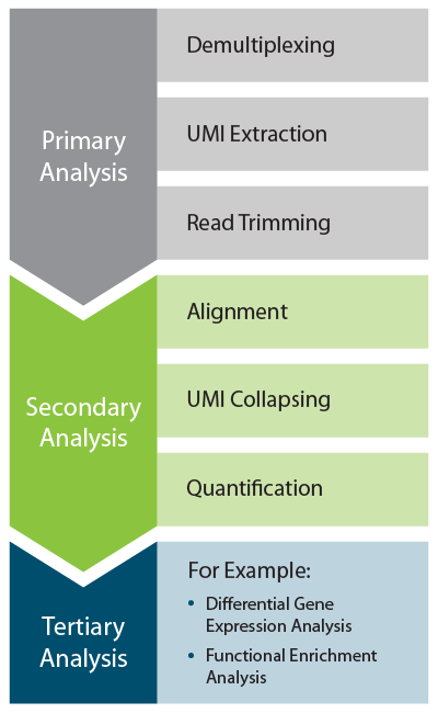 secondary data analysis