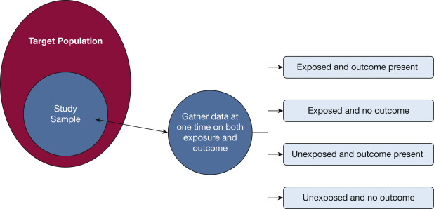 cross sectional research